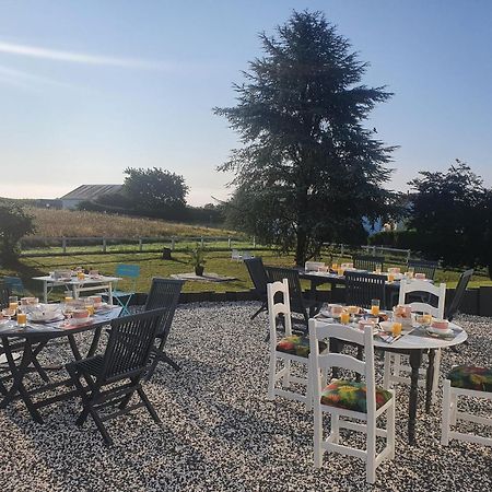 La Veuzaine Bed & Breakfast Onzain Bagian luar foto