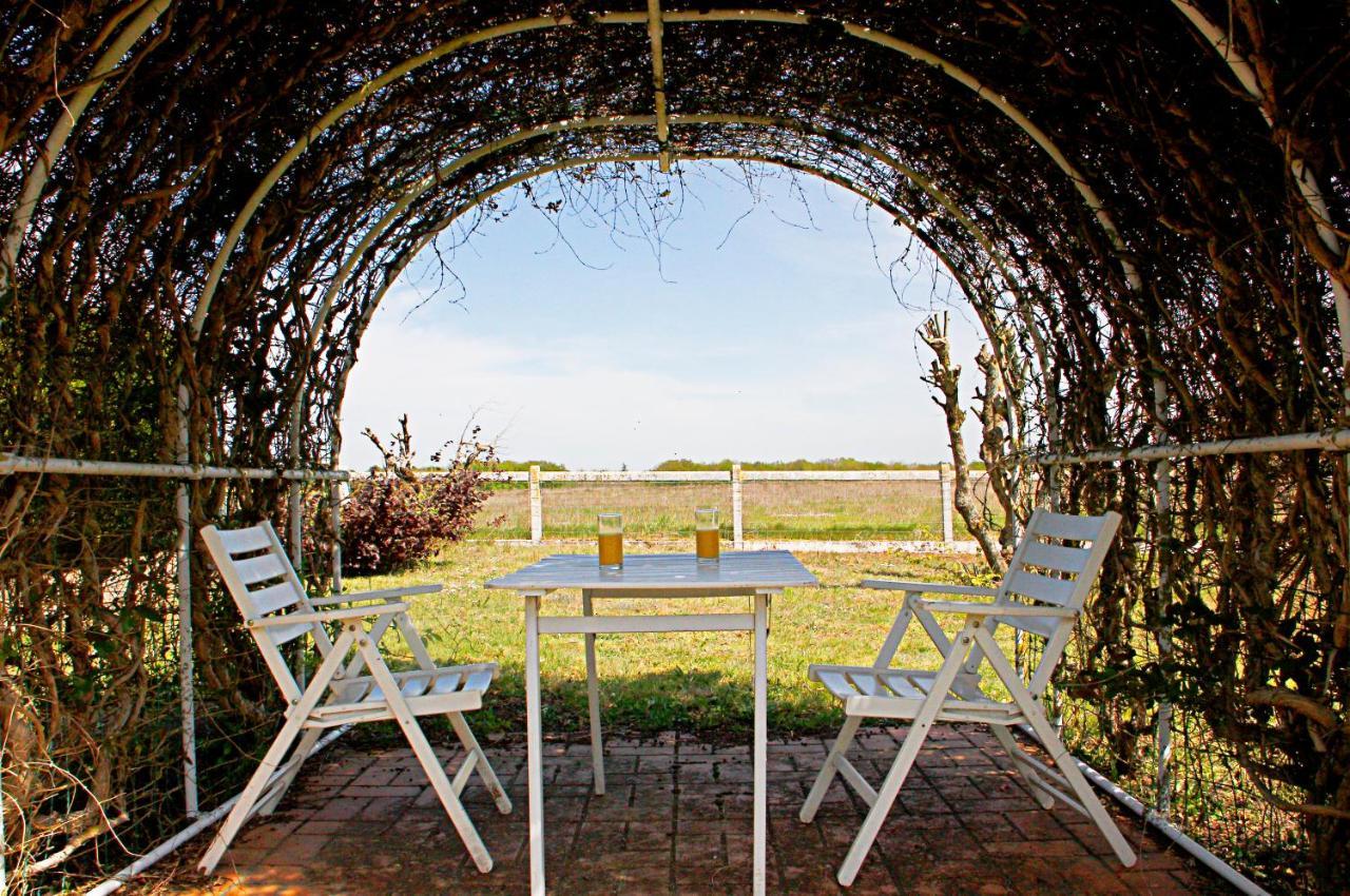 La Veuzaine Bed & Breakfast Onzain Bagian luar foto
