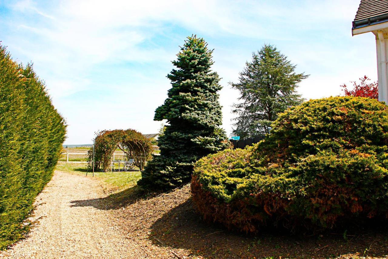 La Veuzaine Bed & Breakfast Onzain Bagian luar foto