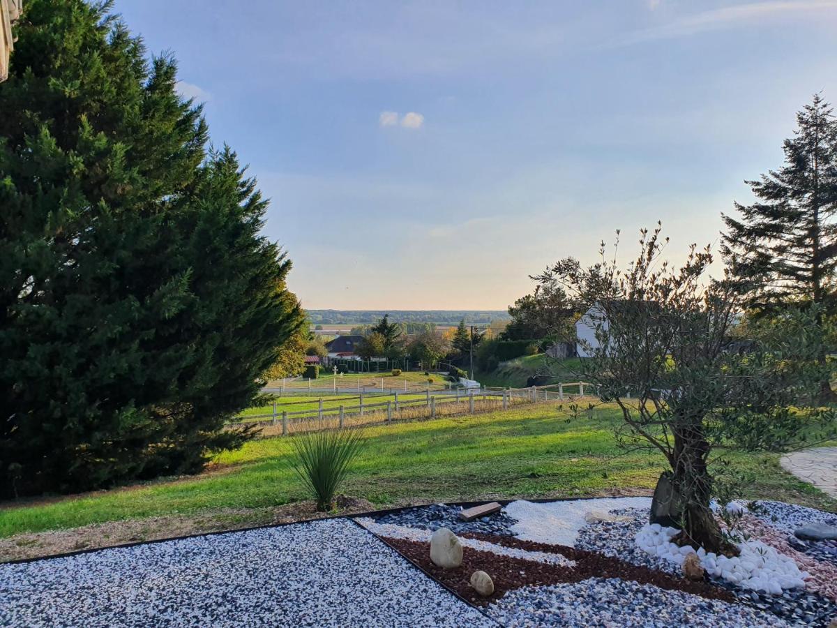 La Veuzaine Bed & Breakfast Onzain Bagian luar foto
